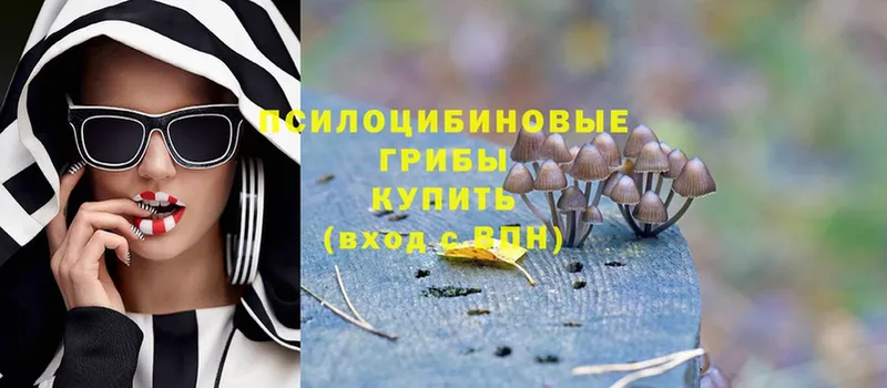 Псилоцибиновые грибы Psilocybe  Карачев 