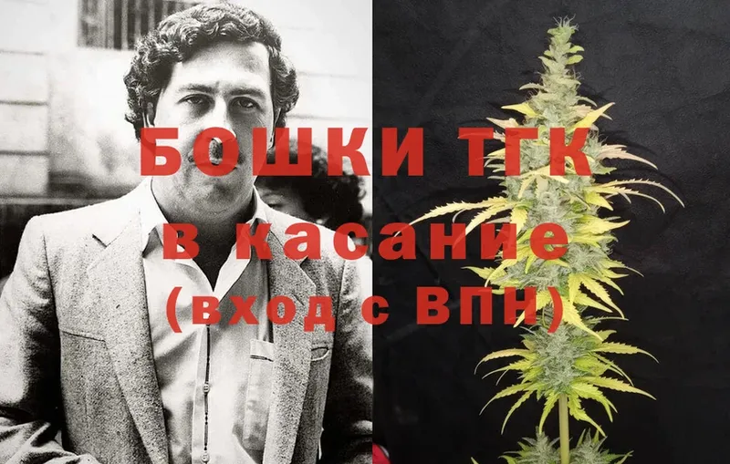 Конопля Ganja  Карачев 